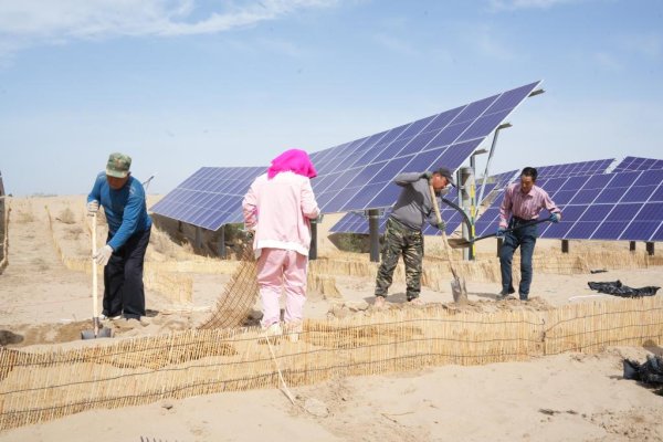 十大股票配资 “三北”生态行：“以工代赈”让农牧民由治沙“看客”变“主角”
