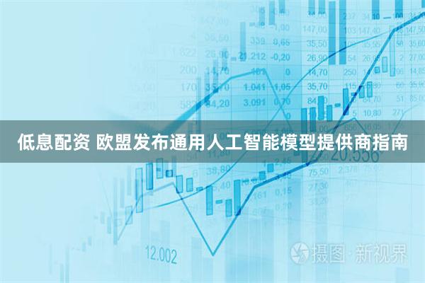 低息配资 欧盟发布通用人工智能模型提供商指南