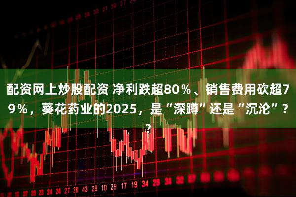 配资网上炒股配资 净利跌超80％、销售费用砍超79％，葵花药业的2025，是“深蹲”还是“沉沦”？